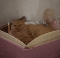 GIF про очікування української озвучки