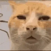 GIF про очікування української озвучки