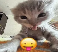 GIF про очікування української озвучки