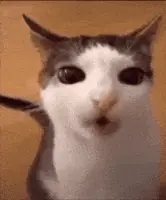 GIF про очікування української озвучки