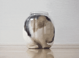 GIF про очікування української озвучки