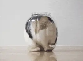 GIF про очікування української озвучки