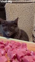 GIF про очікування української озвучки