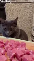 GIF про очікування української озвучки